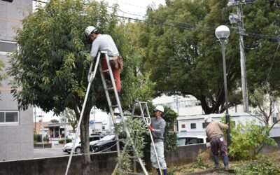 商業施設の植栽メンテナンス