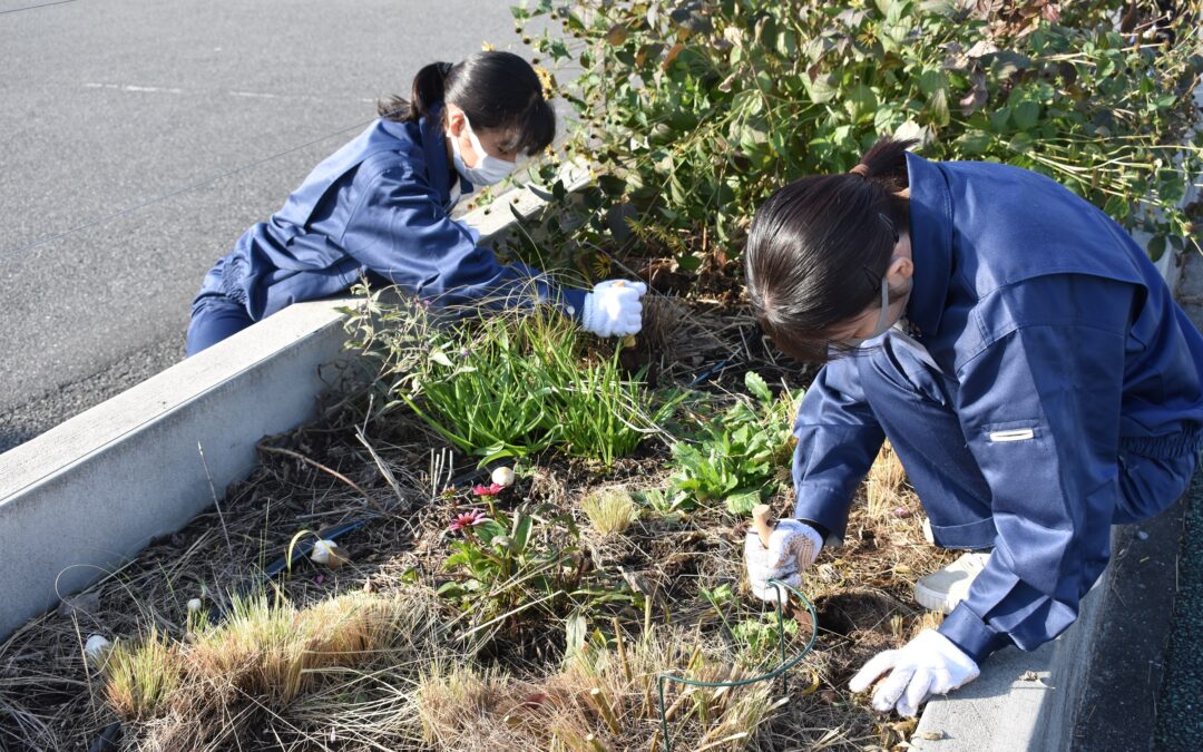 サンロードシティ熊本内の花壇作業